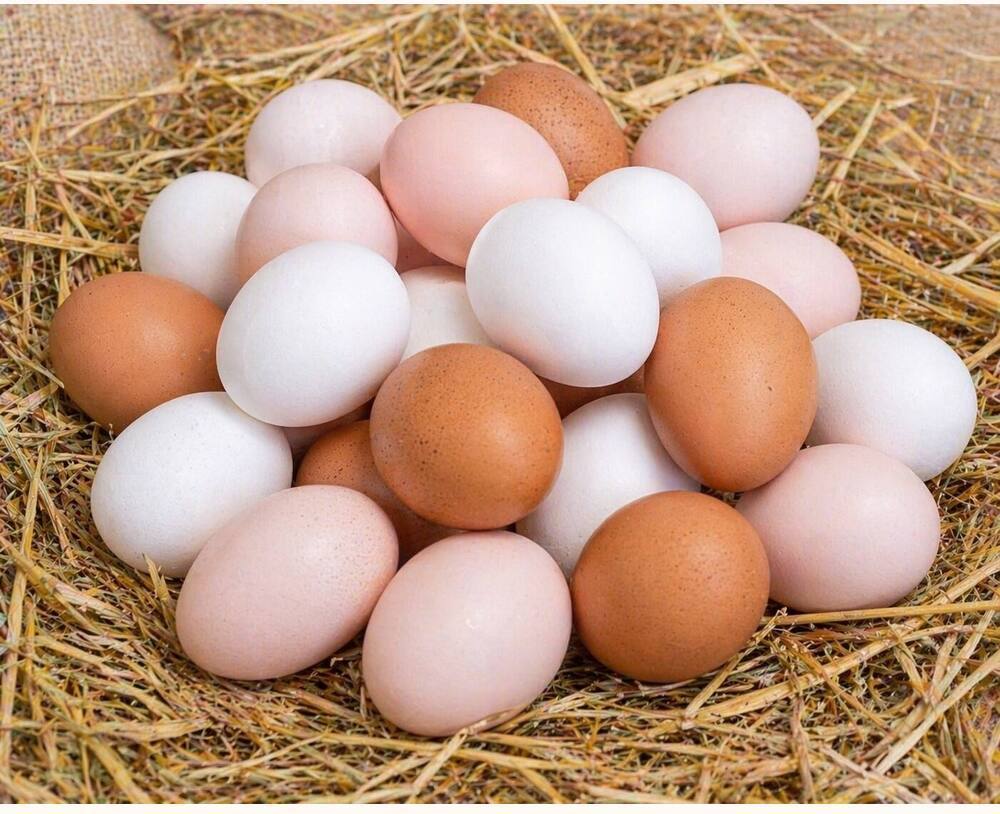 Eggs