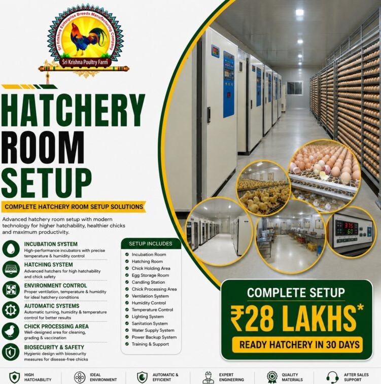 Hatchery Room Setup