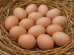 Eggs