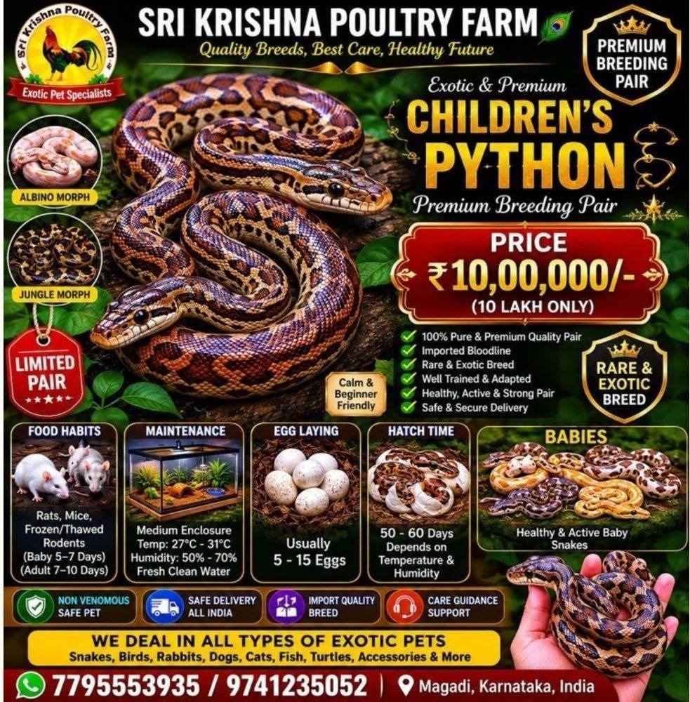 Children’s Python